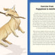 Golden Life: What to Know and Love about the Golden Retriever