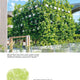 Growing Architecture: How to Make Buildings Out of Trees