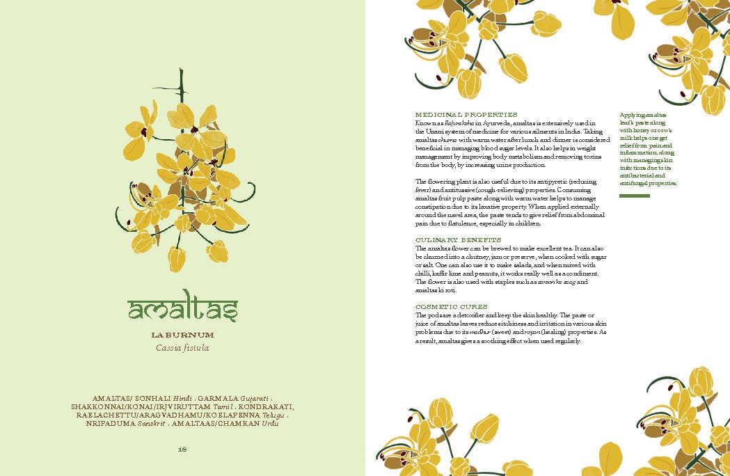 Herbal Sutra: Indian Wisdom & Wellness Through 100 Herbs