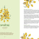 Herbal Sutra: Indian Wisdom & Wellness Through 100 Herbs
