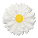 Cut-Leaf Daisy Large Hair Clip