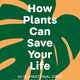 How Plants Can Save Your Life