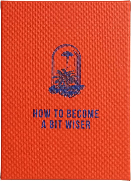 How to Become a Bit Wiser