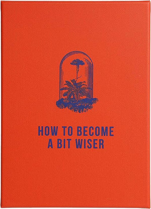 How to Become a Bit Wiser