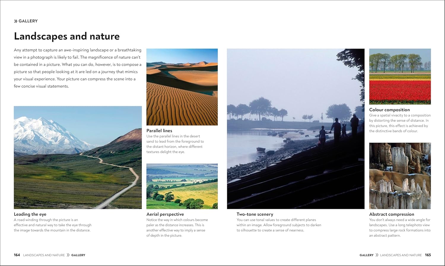 How to Photograph Absolutely Everything