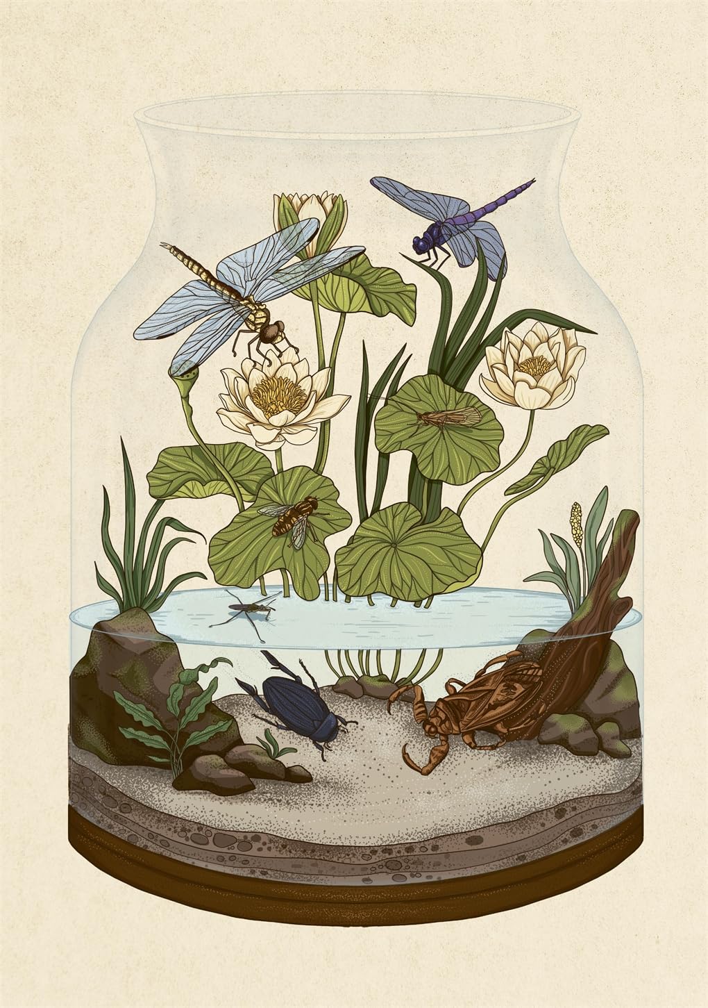 Kertas Insectarium Insectarium Poster Book – QAGOMA Store
