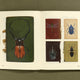 Insectile Inspiration: Insects in Art and Illustration