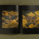 Insectile Inspiration: Insects in Art and Illustration