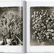 Karl Blossfeldt Complete Published Work