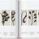 Karl Blossfeldt Complete Published Work