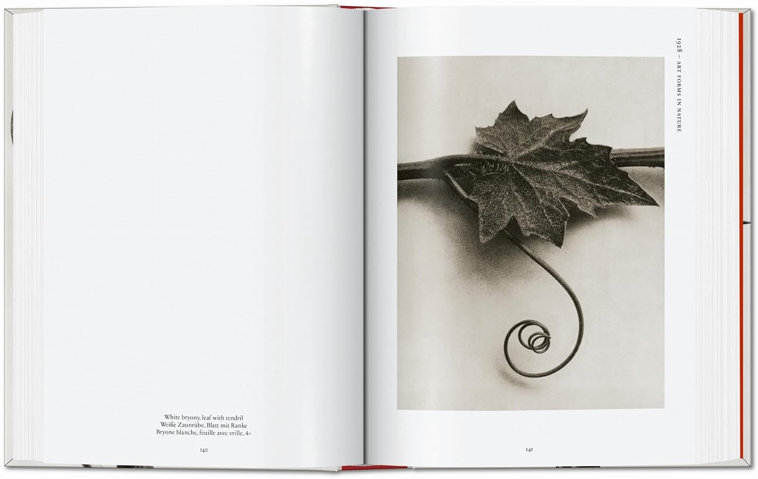 Karl Blossfeldt Complete Published Work