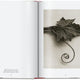 Karl Blossfeldt Complete Published Work