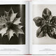 Karl Blossfeldt Complete Published Work