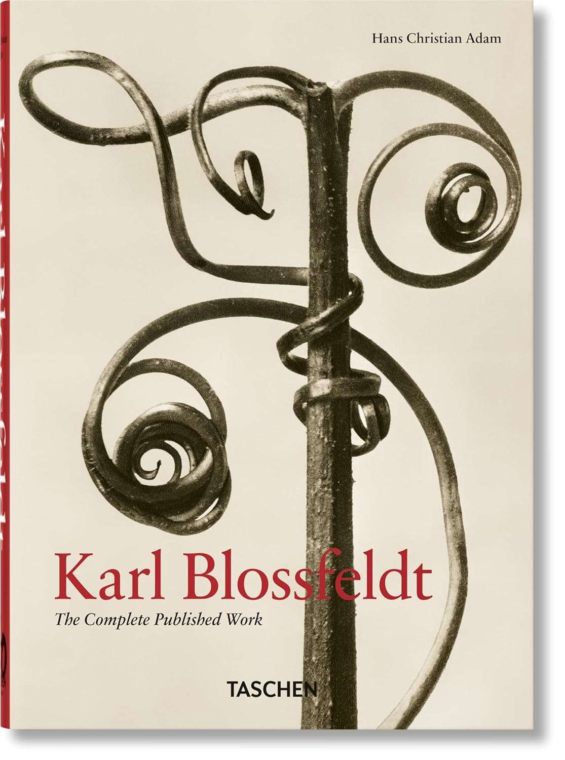 Karl Blossfeldt Complete Published Work