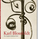Karl Blossfeldt Complete Published Work