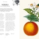 Kew Fragrance: From Plant to Perfume, The Botanical Origins of Scent