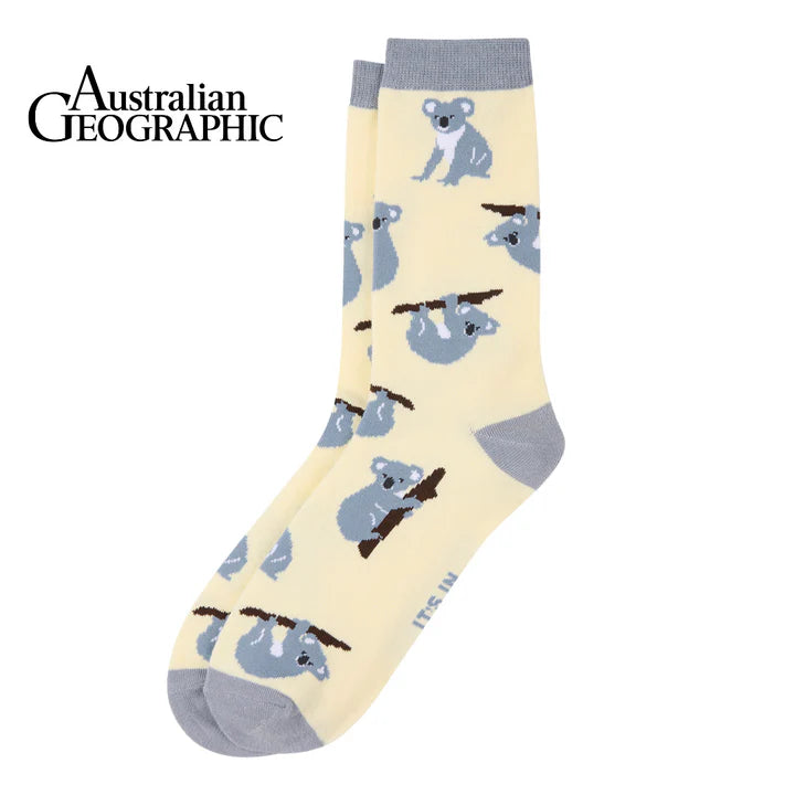 Koala Socks 7-12