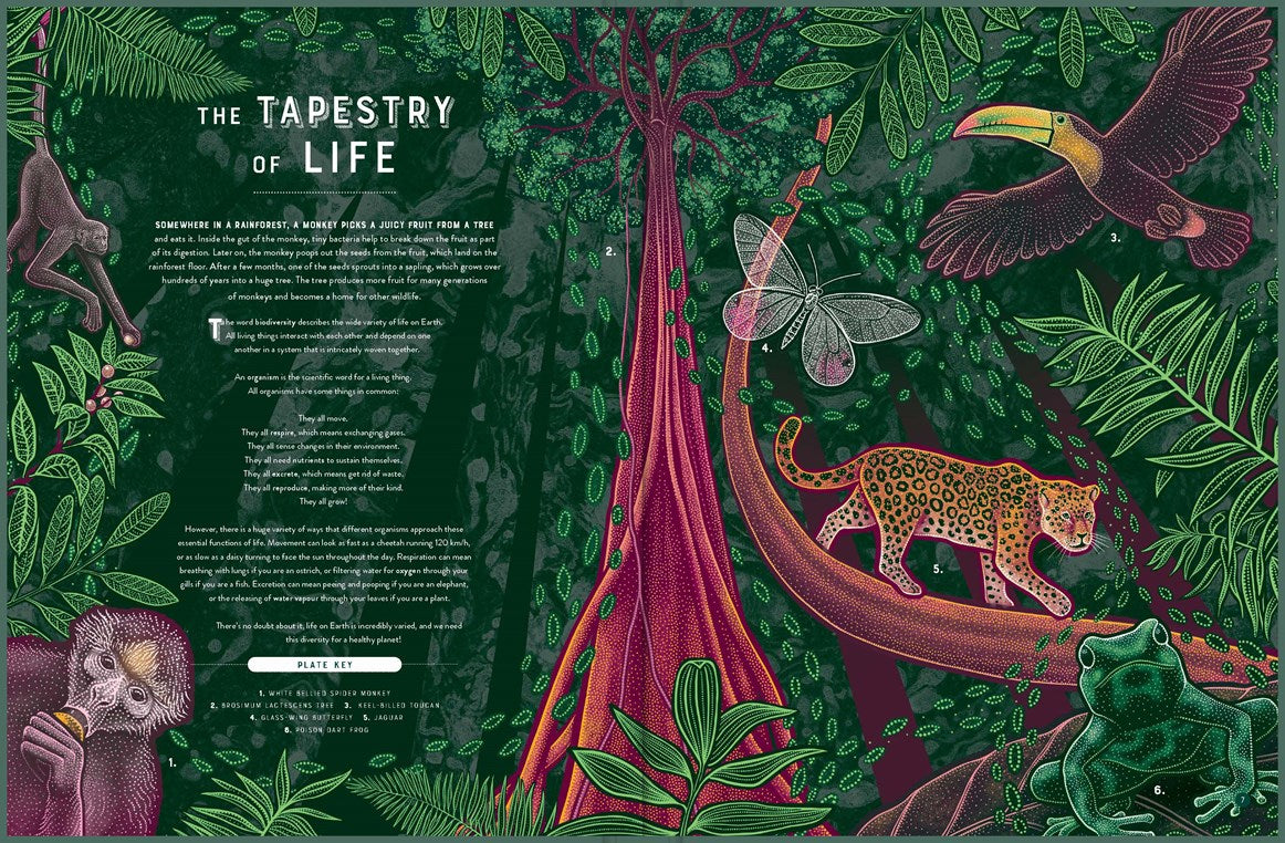 Life: The Wonders of Biodiversity