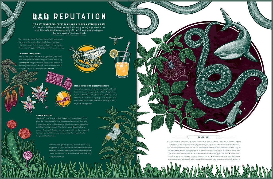 Life: The Wonders of Biodiversity