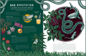 Life: The Wonders of Biodiversity