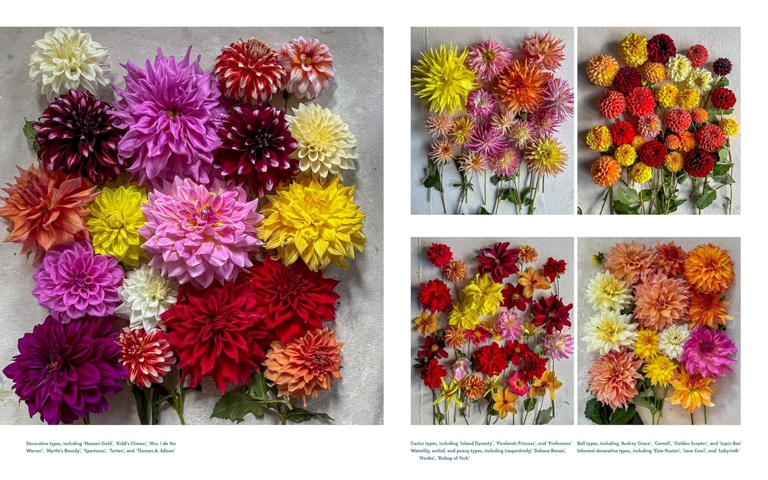 Life With Flowers