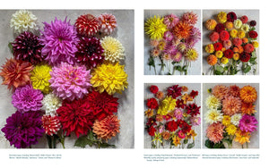 Life With Flowers