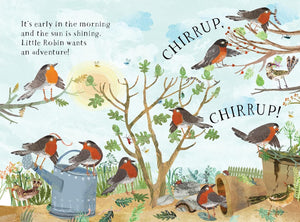 Little Robin's Book of Birds