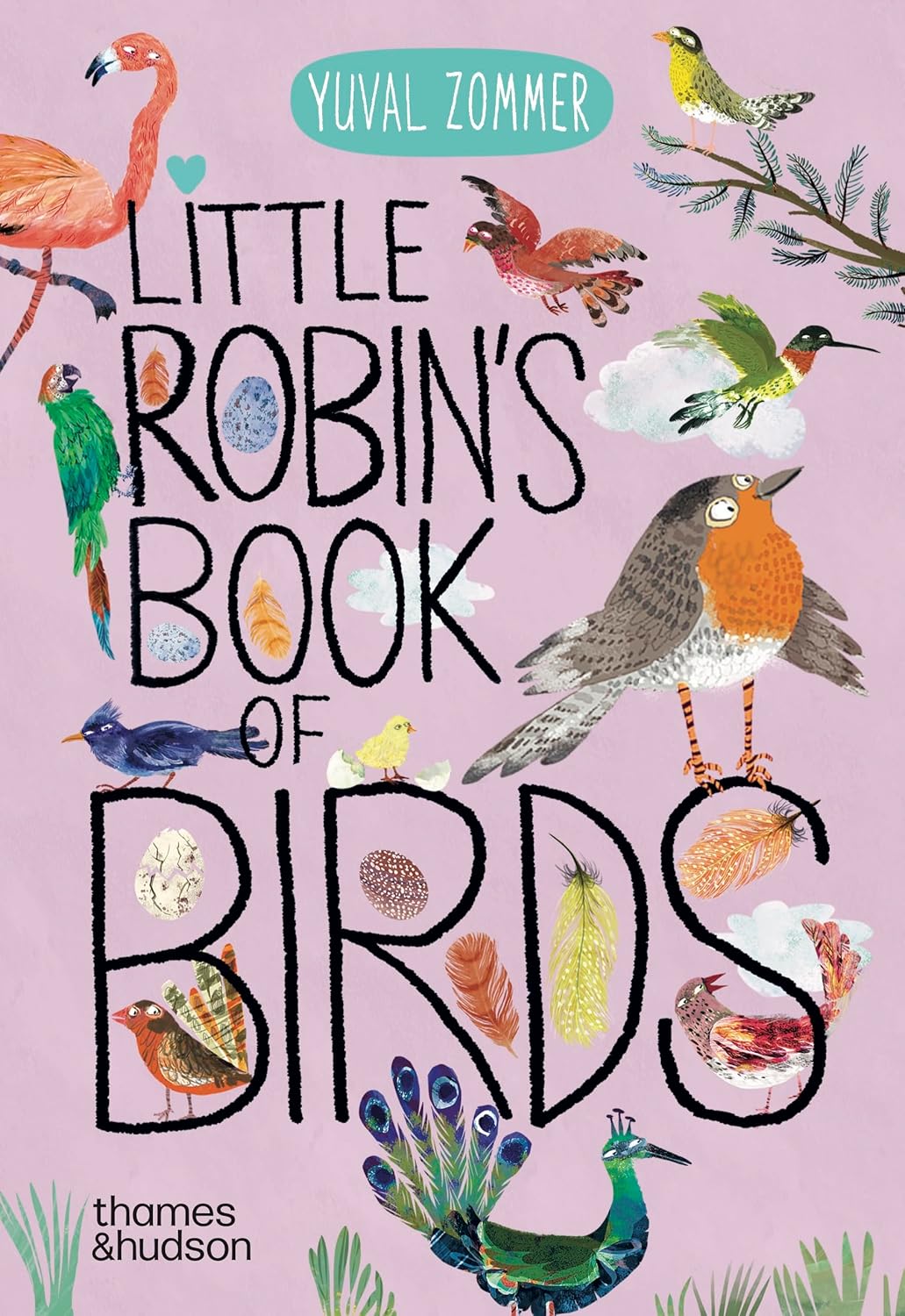 Little Robin's Book of Birds