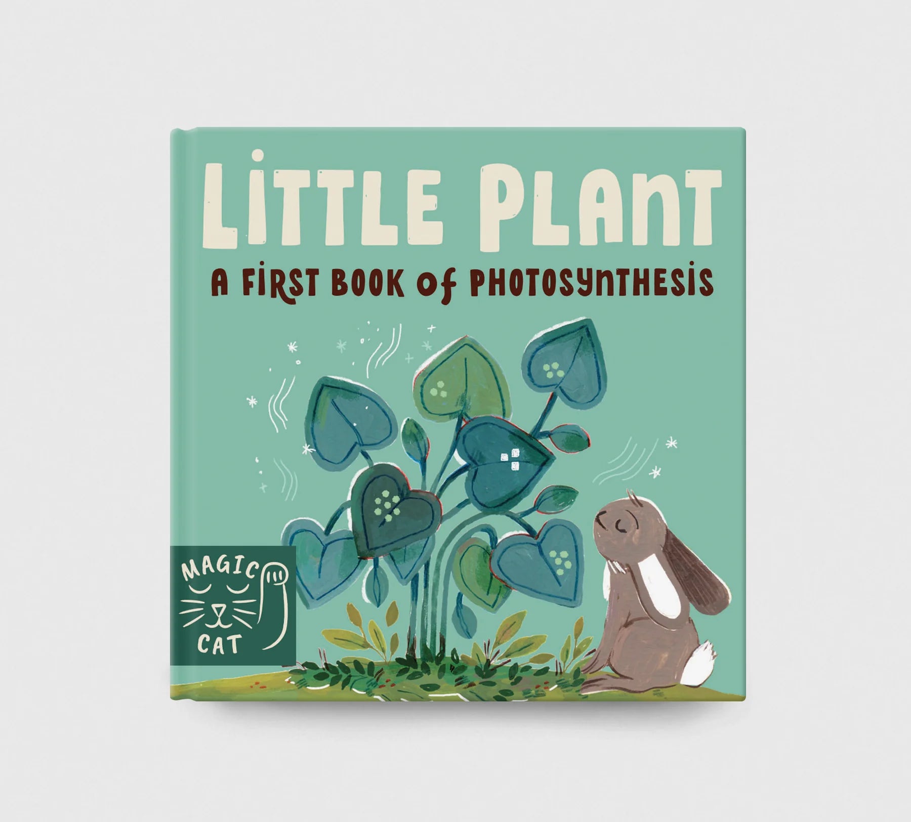 5 Minute Nature Story Box: First Science Concepts for Growing Minds!