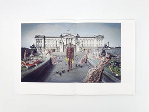 Michael Cook: Conditioned