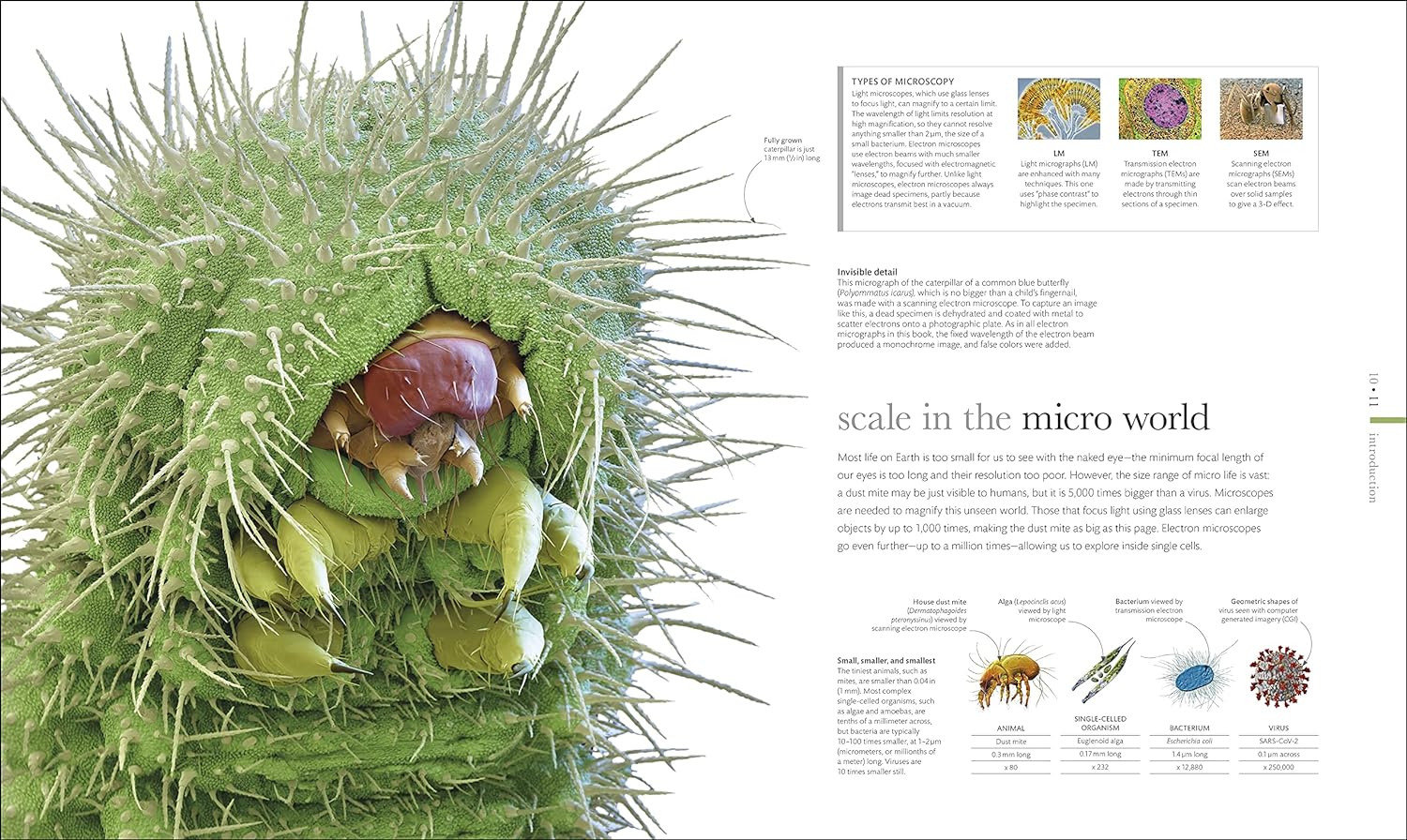 Micro Life: Miracles of the Miniature World Revealed