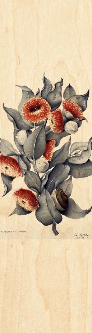 Mottlecah Wooden Bookmark