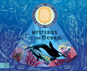 Shine Your Magic Torch: Mysteries of the Ocean