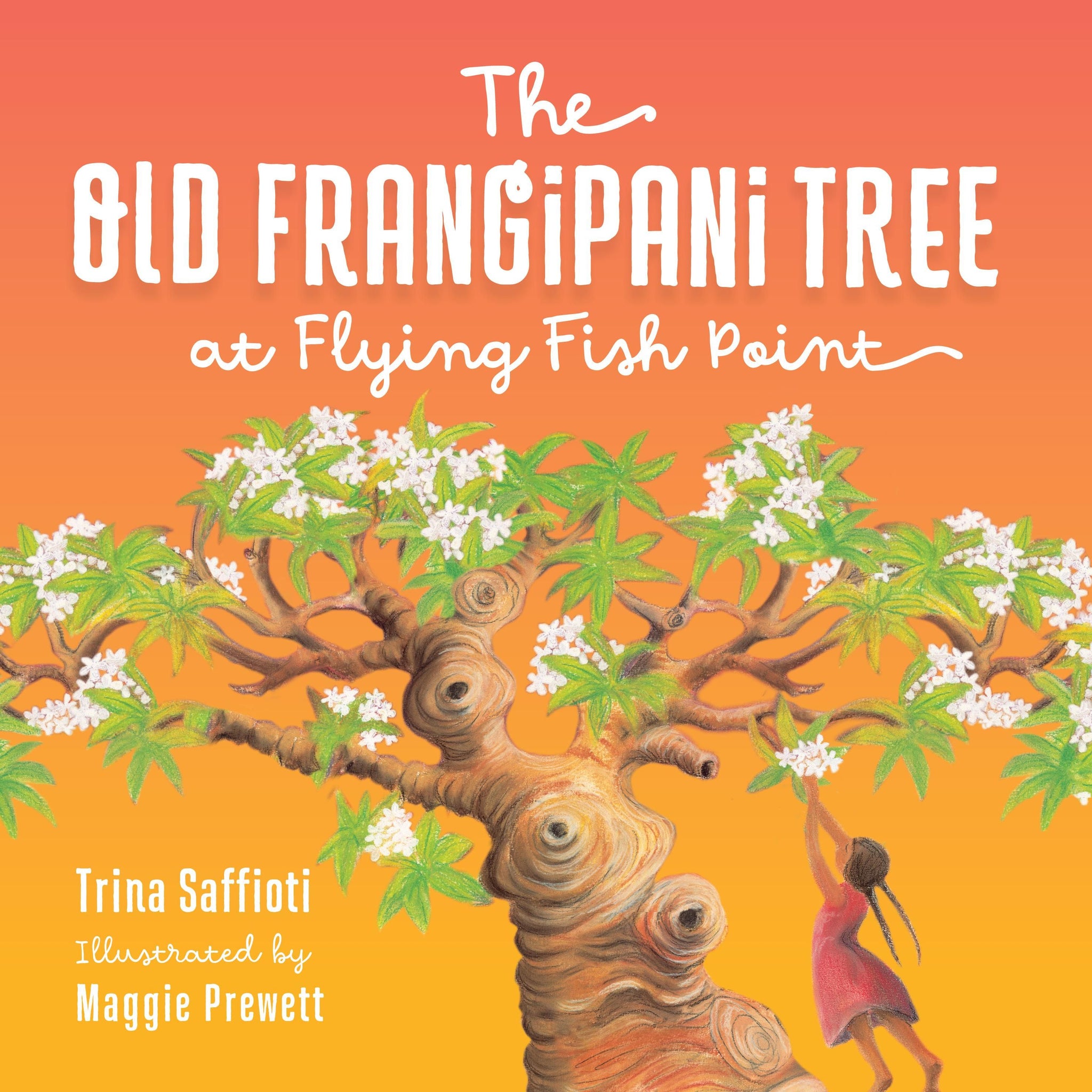 Old Frangipani Tree at Flying Fish Point