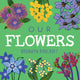 Our Flowers