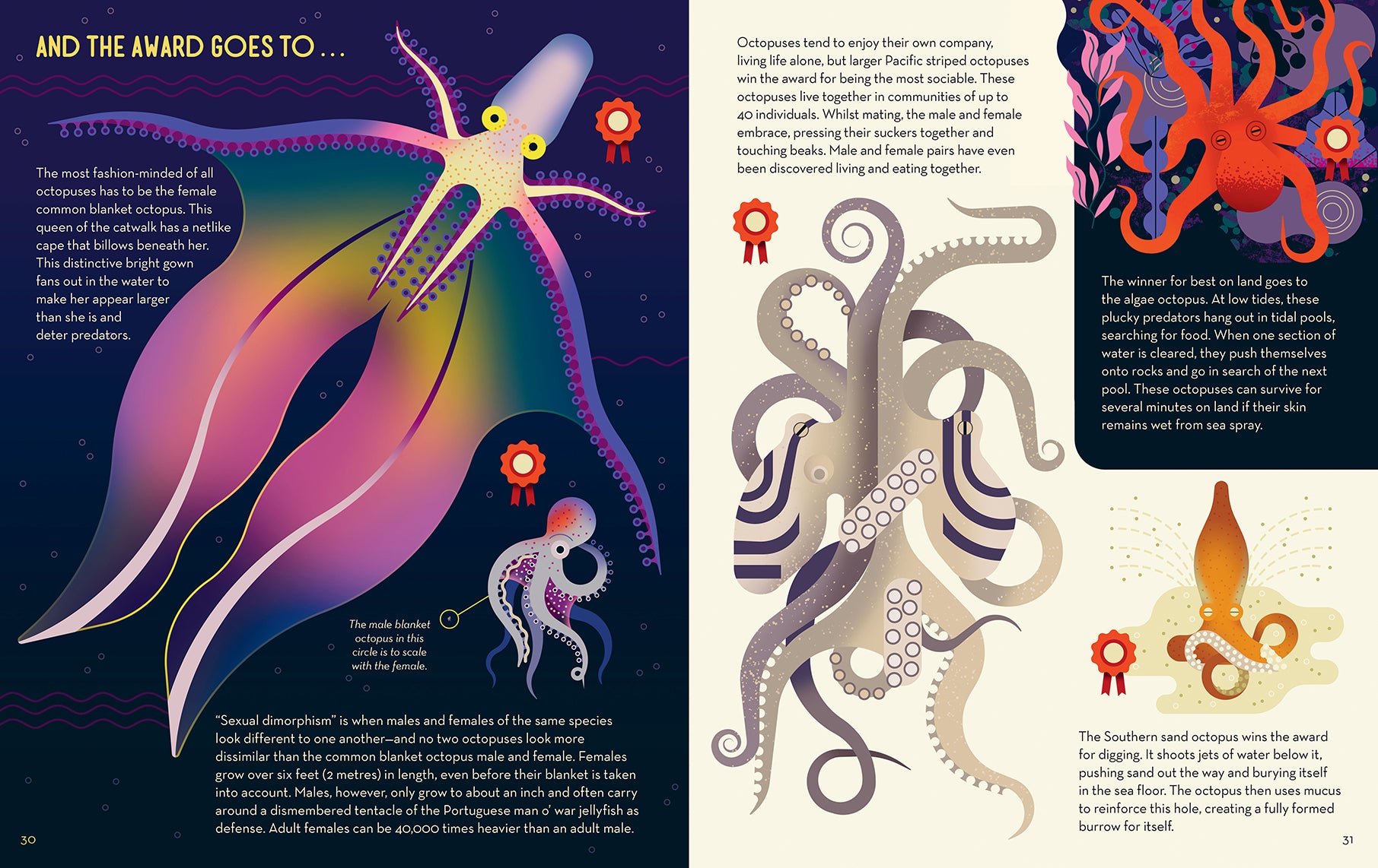 Obsessive About Octopuses