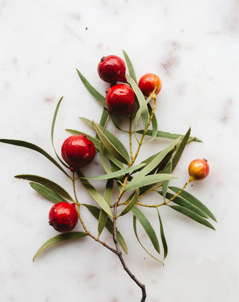 Quandong Chilli Chutney