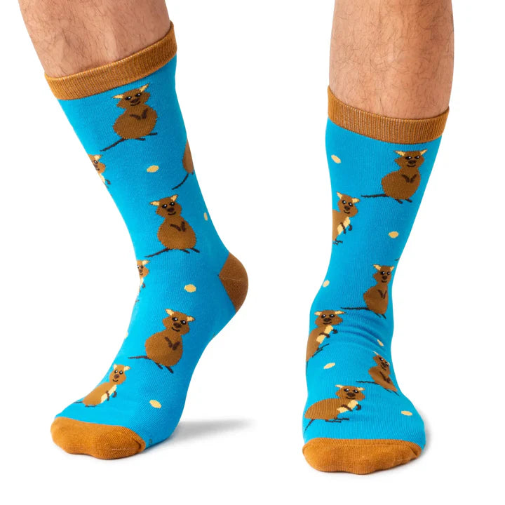 Quokka Socks 7-12
