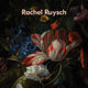 Rachel Ruysch: Nature into Art