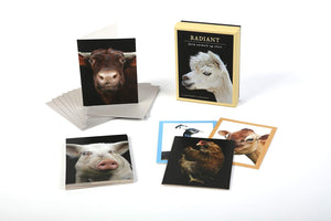 Radiant Farm Animals Up Close Notecards: Notecards and Envelopes