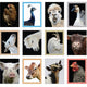 Radiant Farm Animals Up Close Notecards: Notecards and Envelopes