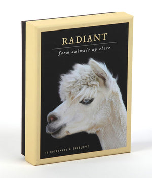 Radiant Farm Animals Up Close Notecards: Notecards and Envelopes