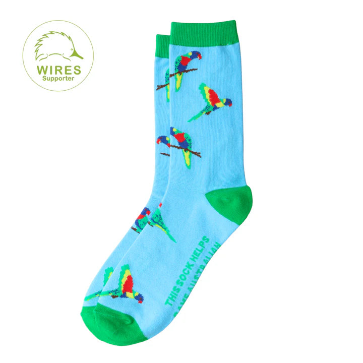 Rainbow Lorikeet Socks 7-12