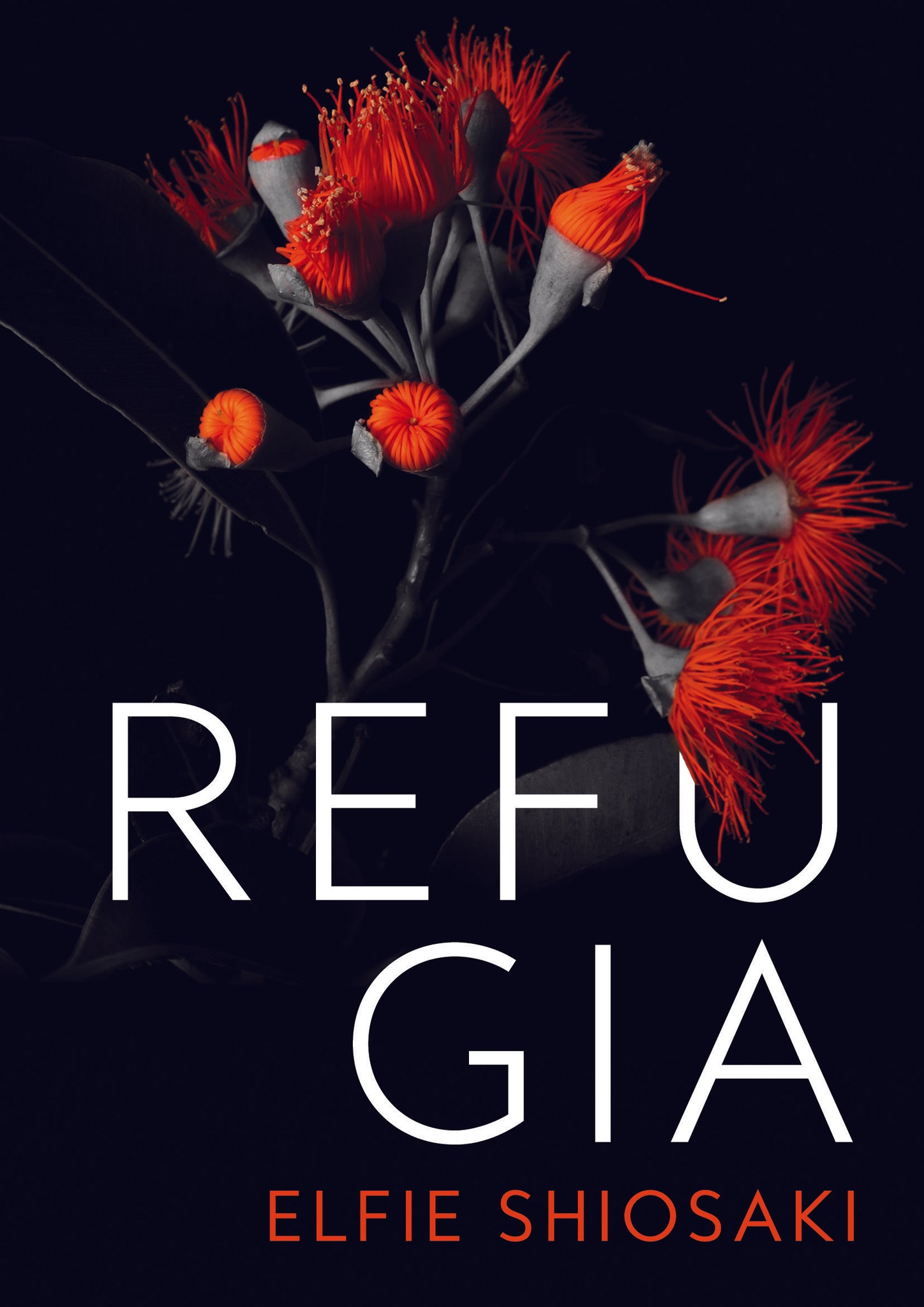 Refugia