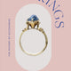 Rings (Victoria and Albert Museum)