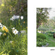 Scandinavian Gardens