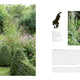 Scandinavian Gardens