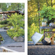 Scandinavian Gardens
