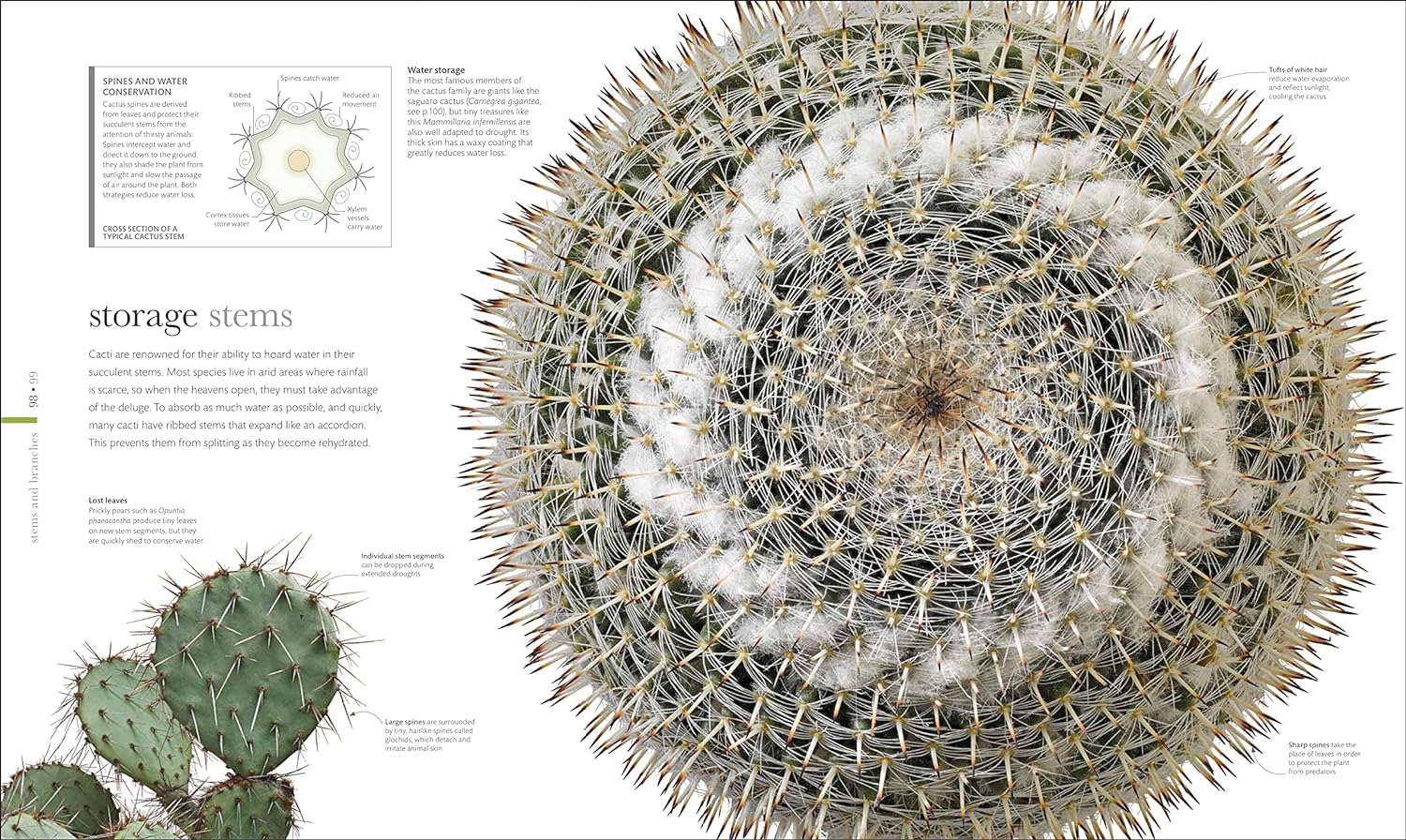 Science of Plants: Inside Their Secret World