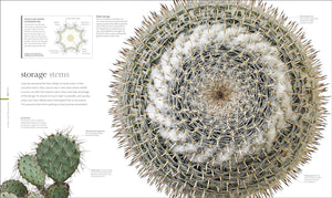 Science of Plants: Inside Their Secret World